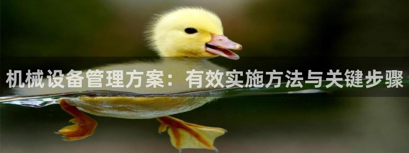 金年会体育平台是真的吗：机械设备管理方案：有效实施方法与关键步骤