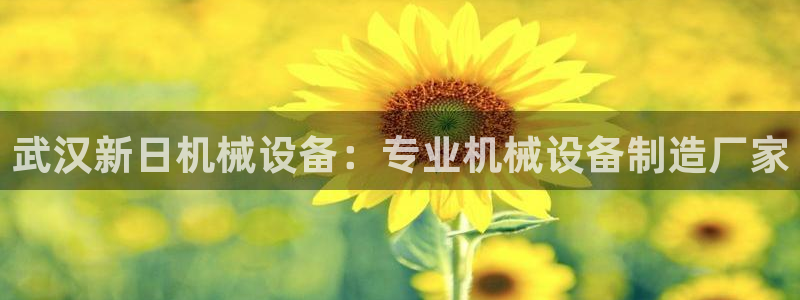 金年会官方网站入口登录手机版下载安装：武汉新日机械设备：专业机械设备制造厂家
