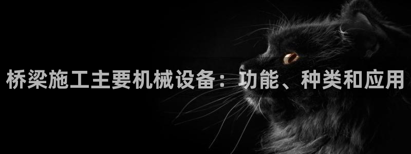 金年会体育平台是真的吗知乎：桥梁施工主要机械设备：功能、种类和应用