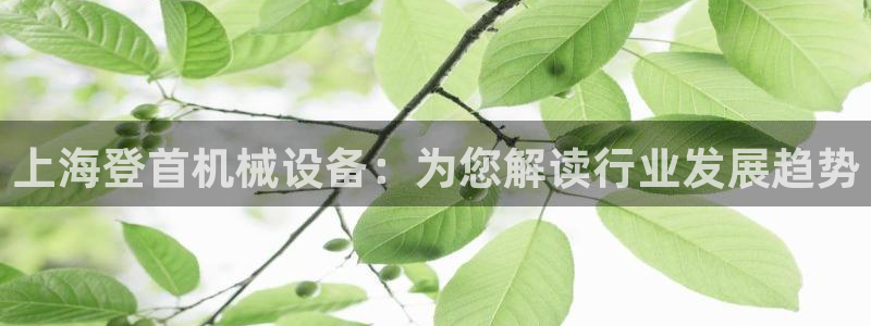 金年会体育app最新官网入口：上海登首机械设备：为您解读行业发展趋势