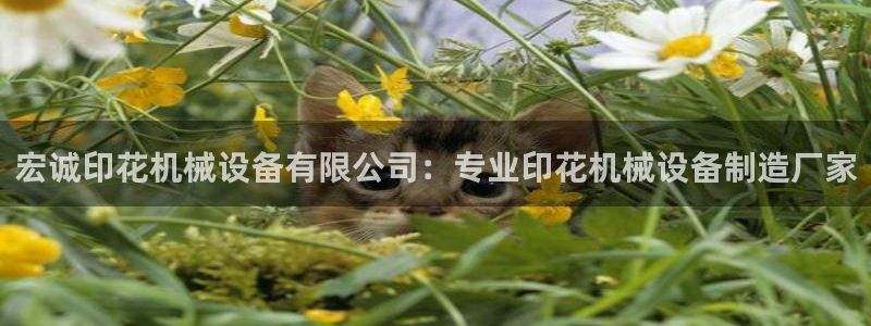 金年会官方在线入口网站：宏诚印花机械设备有限公司：专业印花机械设备制造厂家