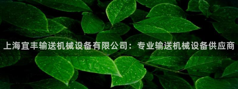 金年会官方网址查询：上海宜丰输送机械设备有限公司：专业输送机械设备供应商