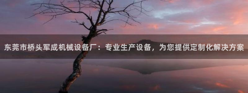 金年会体育开户：东莞市桥头军成机械设备厂：专业生产设备，为您提供定制化解决方案