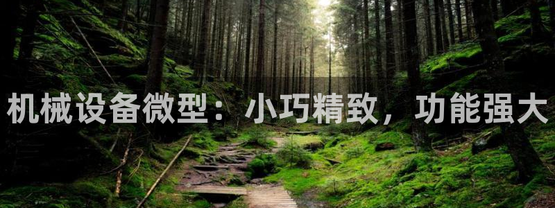 金年会手机版·(中国)官方网站-app下载：机械设备微型：小巧精致，功能强大