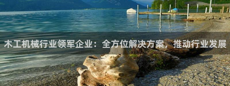 金年会体育网址登录：木工机械行业领军企业：全方位解决方案，推动行业发展