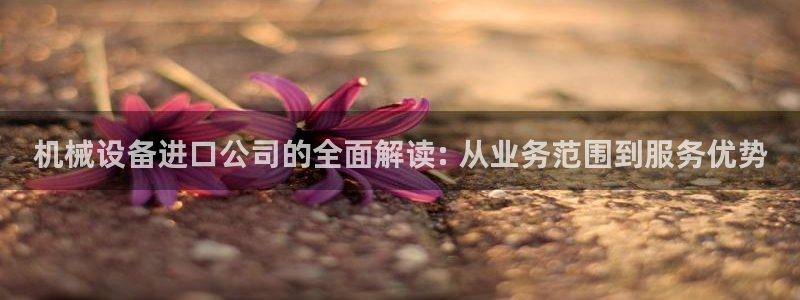 金年会vip网页版在线登录入口官网：机械设备进口公司的全面解读: 从业务范围到服务优势
