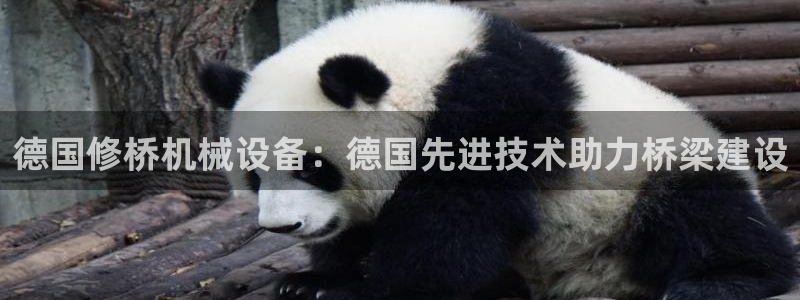 金年会电子平台：德国修桥机械设备：德国先进技术助力桥梁建设