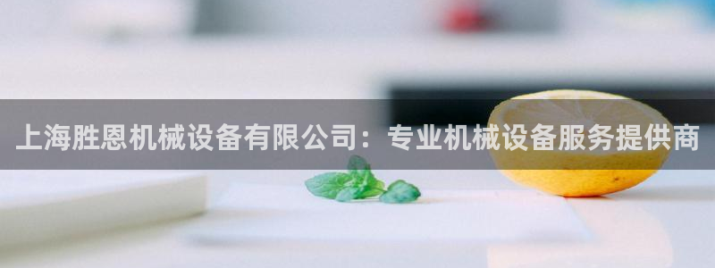 金年会体育官方平台下载：上海胜恩机械设备有限公司：专业机械设备服务提供商