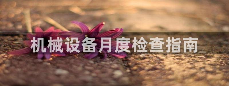 金年会赌博是诈骗吗：机械设备月度检查指南