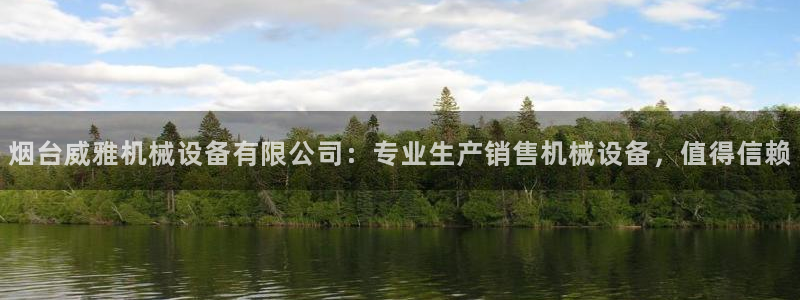 金年会官方在线登录网站：烟台威雅机械设备有限公司：专业生产销售机械设备，值得信赖