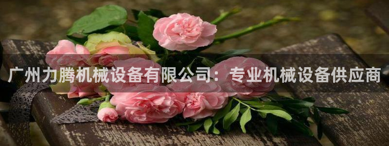 金年会体育网站：广州力腾机械设备有限公司：专业机械设备供应商