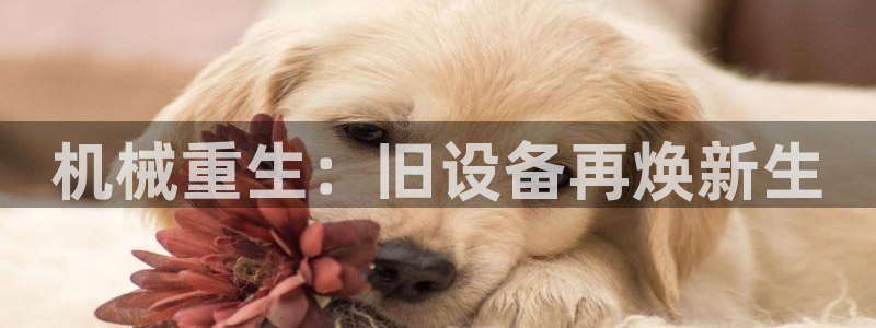 金年会黑不黑：机械重生：旧设备再焕新生