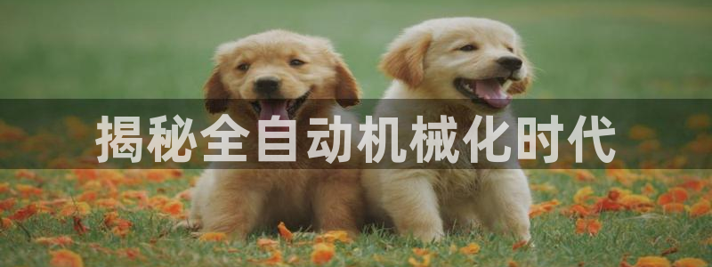 金年会体育官方：揭秘全自动机械化时代