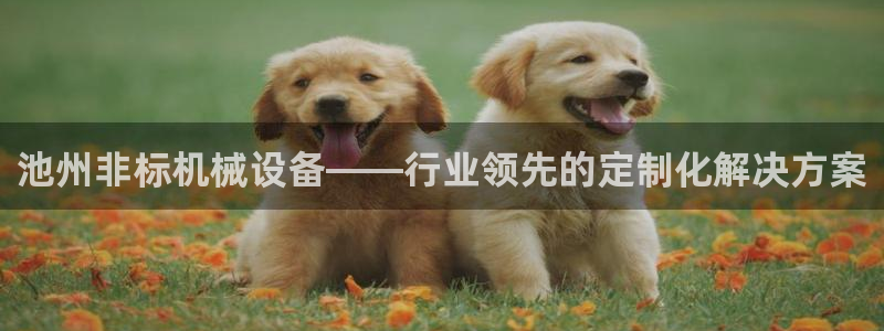 金年会官方在线登录网站：池州非标机械设备——行业领先的定制化解决方案