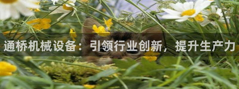 金年会金字招牌信誉至上365：通桥机械设备：引领行业创新，提升生产力
