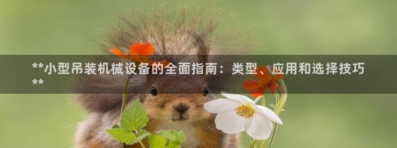 金年会vip网页版在线登录入口下载：**小型吊装机械设备的全面指南：类型、应用和选择技巧
**