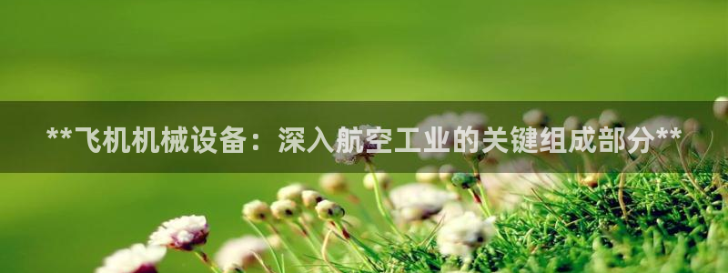 金年会体育APP官方下载：**飞机机械设备：深入航空工业的关键组成部分**