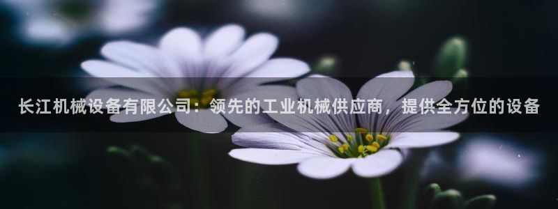 金年会网页版在线登录官网下载：长江机械设备有限公司：领先的工业机械供应商，提供全方位的设备
