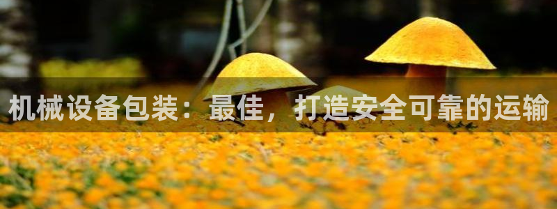 金年会体育官方微博：机械设备包装：最佳，打造安全可靠的运输