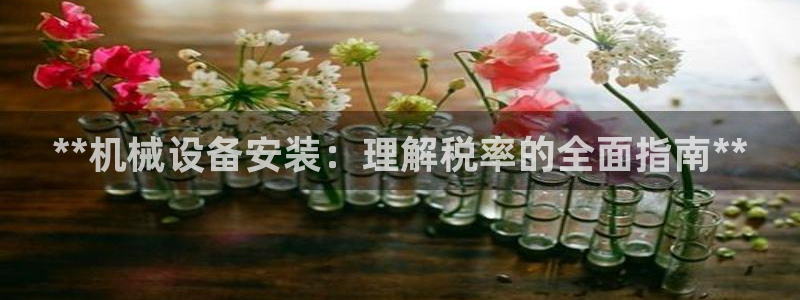 金年会网站被拒绝出款怎么处理?：**机械设备安装：理解税率的全面指南**