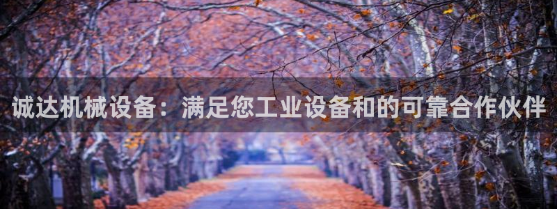 今年会金年会：诚达机械设备：满足您工业设备和的可靠合作伙伴
