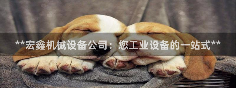 金年会app官网：**宏鑫机械设备公司：您工业设备的一站式**