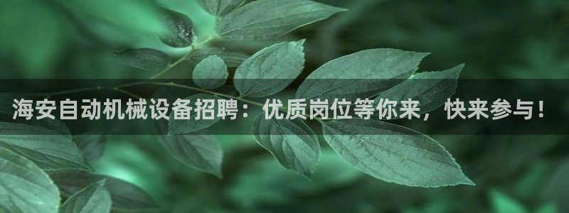 金年会网址有吗：海安自动机械设备招聘：优质岗位等你来，快来参与！