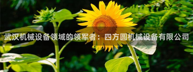 金年会金字招牌登录入口评测：武汉机械设备领域的领军者：四方圆机械设备有限公司