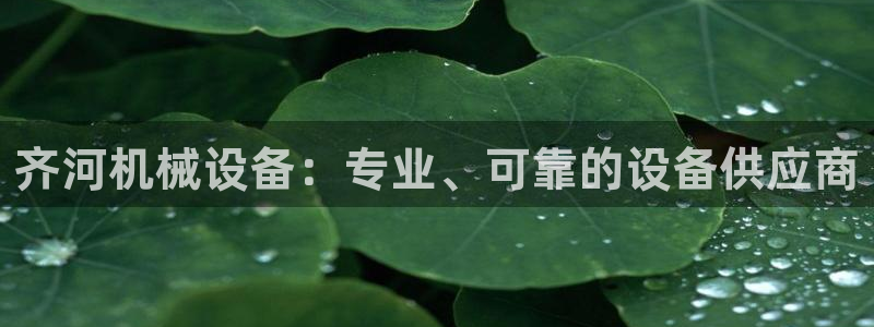 金年会金字招牌入口：齐河机械设备：专业、可靠的设备供应商