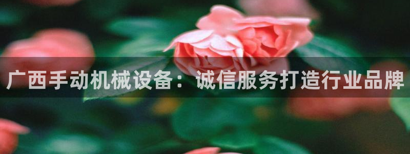 金年会体育论坛：广西手动机械设备：诚信服务打造行业品牌