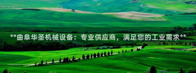 金年会体育官网：**曲阜华圣机械设备：专业供应商，满足您的工业需求**