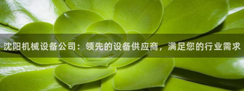 金年会手机版官方网站