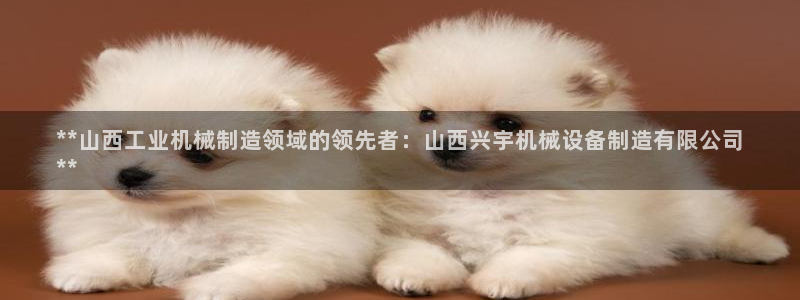 金年会体育诚信