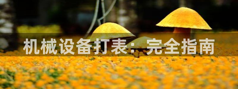 金年会官方网站入口app