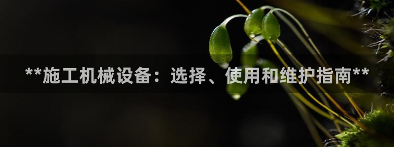 金年会网站入口官网：**施工机械设备：选择、使用和维护指南**